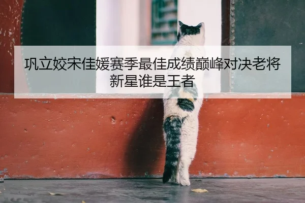 巩立姣宋佳媛赛季最佳成绩巅峰对决老将新星谁是王者