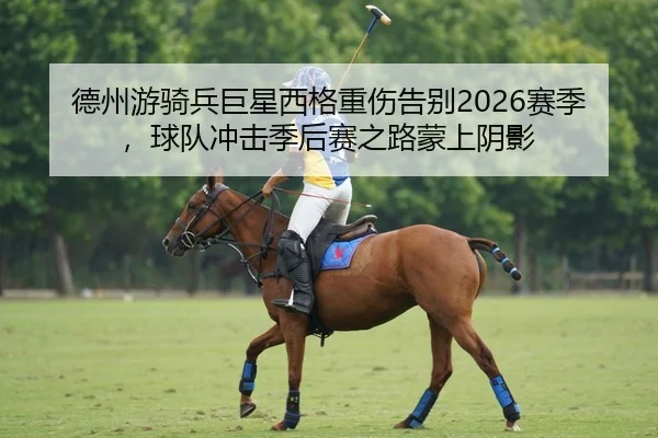 德州游骑兵巨星西格重伤告别2026赛季，球队冲击季后赛之路蒙上阴影