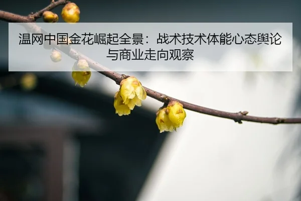 温网中国金花崛起全景：战术技术体能心态舆论与商业走向观察