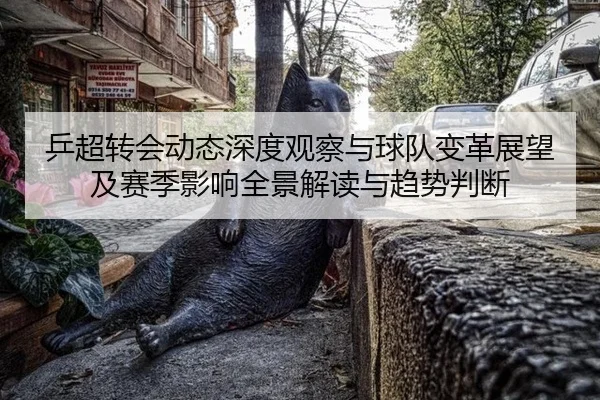 乒超转会动态深度观察与球队变革展望及赛季影响全景解读与趋势判断